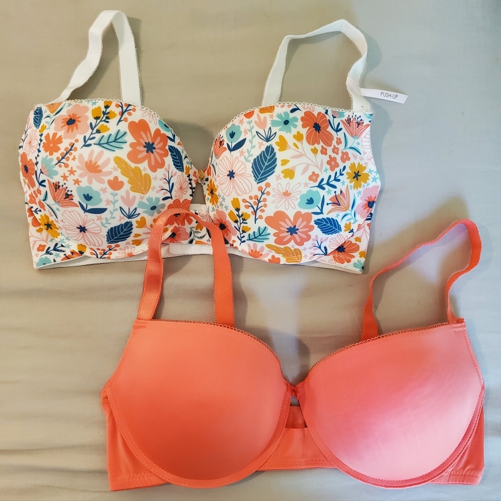 Daisy Fuentes Bra Lot
